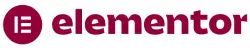 elementor expert